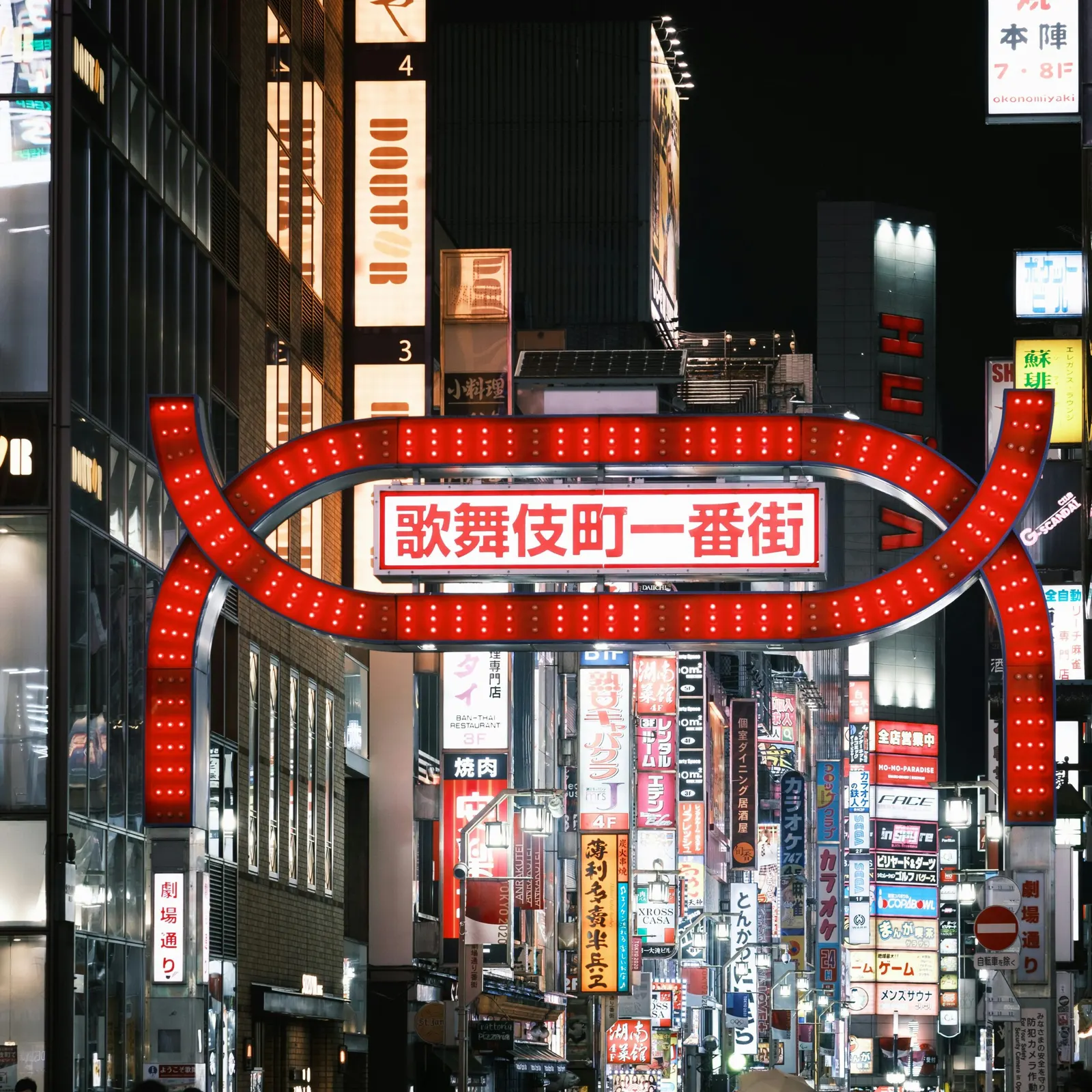 Japón Majestuoso Precio IMBATIBLE 2x1